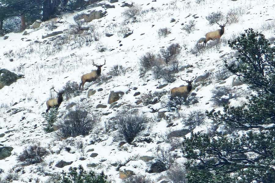 From Denver: Rocky Mountain Escape Tour - Idaho Springs time: a quick mountain-town break