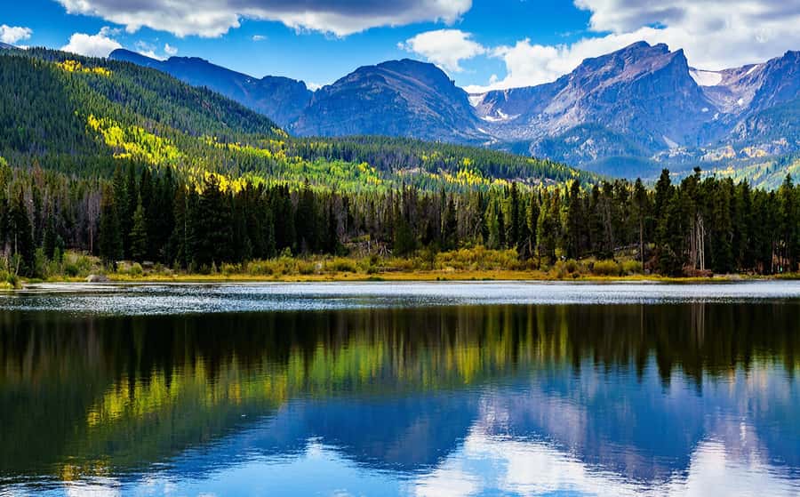 From Denver: Rocky Mountain National Park Day Trip and Lunch - Transportation comfort: small group, air-conditioned van, lots of window time