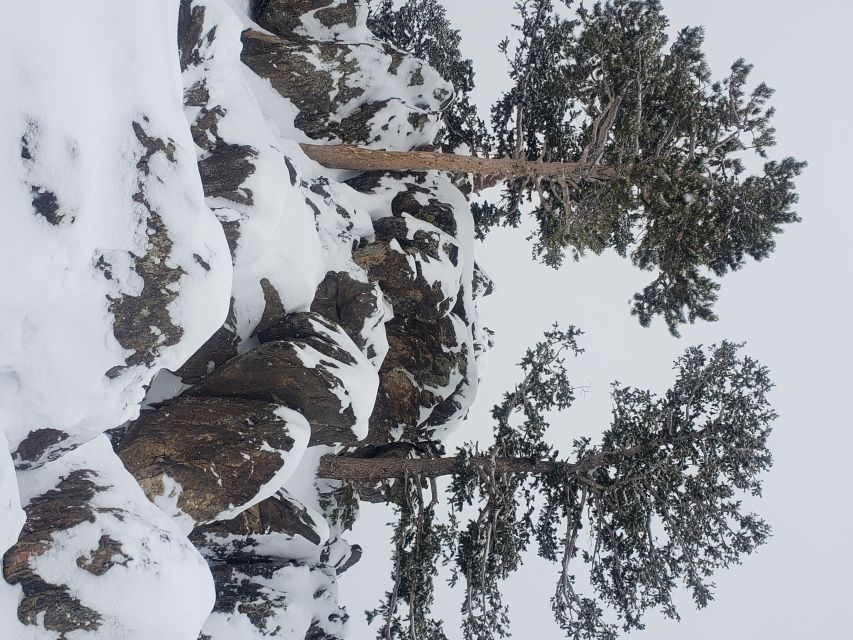 From Denver: Rocky Mountain National Park Winter/Spring Tour - The Stanley Hotel: a Colorado story stop without the headache