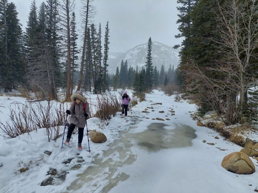 From Denver: Snowshoeing in Rocky Mountains - Guide Service Level: Organized, Patient, and Worth the Money
