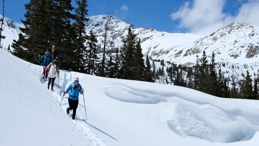 From Denver: Snowshoeing in Rocky Mountains - Price and Value: Why $145 Usually Works Here