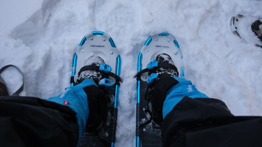 From Denver: Snowshoeing in Rocky Mountains - The 6-Hour Flow: Pickup, Drive, Hike, and the Ride Home