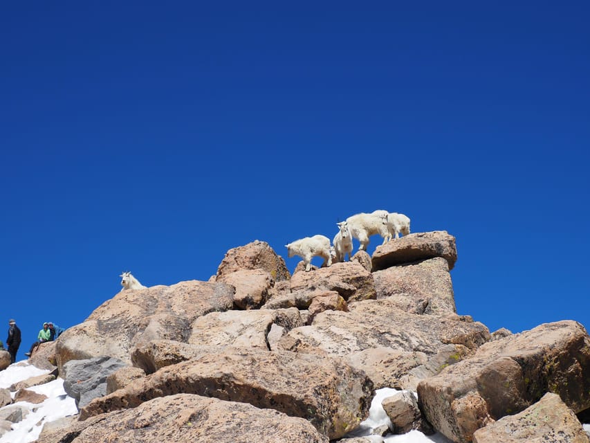 From Denver: Trip to Mount Blue Sky Summit and Glacial Lake - Mount Blue Sky Summit Time: Optional Walk, Wildflowers, and 360 Views
