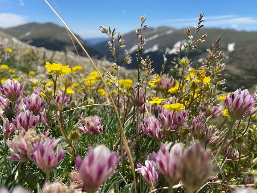 From Denver: Trip to Mount Blue Sky Summit and Glacial Lake - Price and Value: Is $129 Worth a 14er Day Trip?