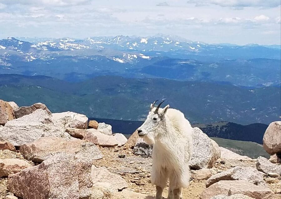 From Denver: Trip to Mount Blue Sky Summit and Glacial Lake - What to Bring for High-Elevation Weather That Changes Quickly