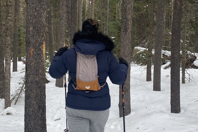 Frozen Waterfall Snowshoe Tour Estes Park - Getting started at the Wild Basin Trailhead (and why that matters)