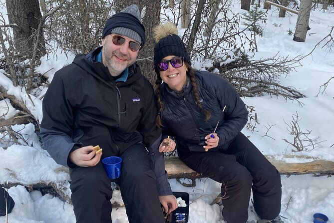 Frozen Waterfall Snowshoe Tour Estes Park - Price and value: what $159 buys you in a private winter outing