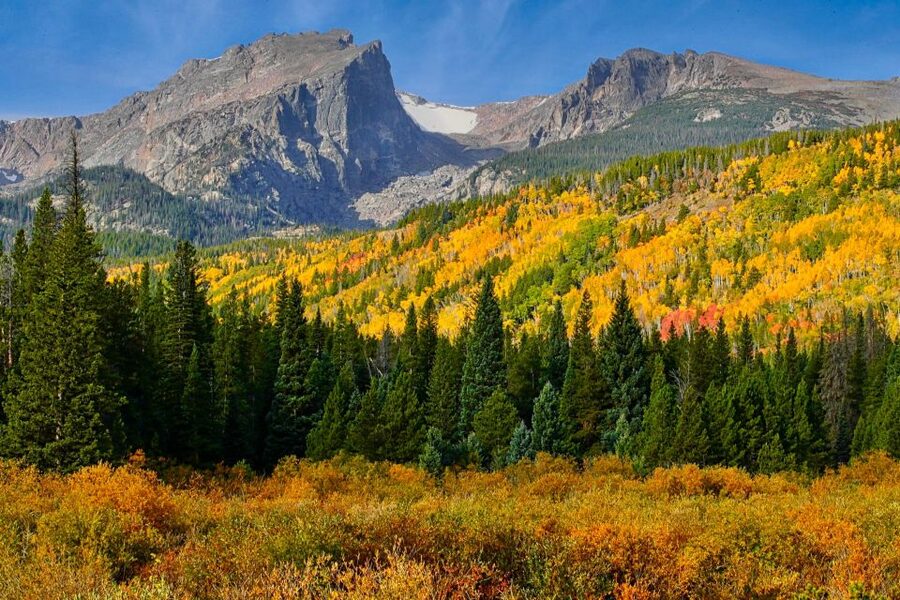 Full-Day RMNP Over the Top Tour - RMNPhotographer - The Alpine world at high altitude: what you’ll actually see
