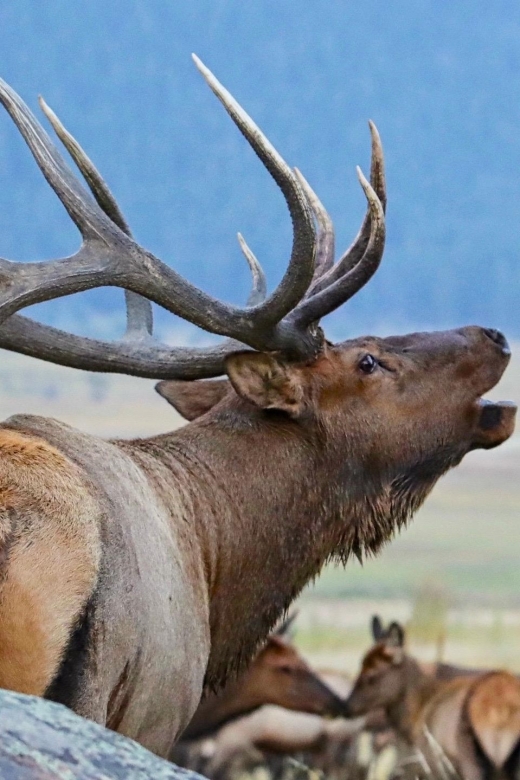 Full-Day RMNP Over the Top Tour - RMNPhotographer - Timed entry included: how you protect your daylight