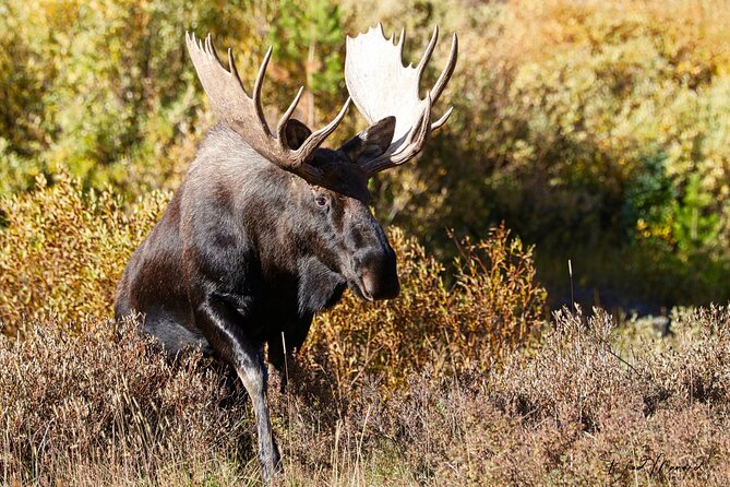 Full-Day Rocky Mountain National Park "Over The Top Tour" - RMNPhotographer - Stop-by-stop: Alpine Visitor Center and the Continental Divide