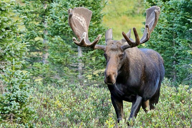 Full-Day Rocky Mountain National Park "Over The Top Tour" - RMNPhotographer - Photography focus: when the route matters more than the gear