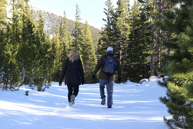 Glacier Hiking & Geothermal Cave Pools Tour - Should You Book This Glacier and Hot Springs Day Trip?