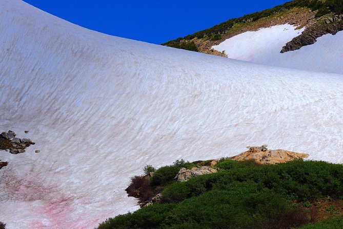 Glacier Hiking & Geothermal Cave Pools Tour - Idaho Springs Stop: Pizza Fuel and Town Time