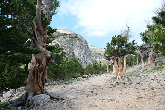 Guided hike in Rockies - Half Day Trip - Weather reality: good conditions matter, and October can surprise you