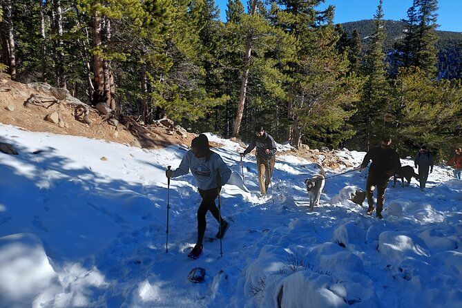 Guided hike in Rockies - Half Day Trip - What to bring (so the hike feels easy, not annoying)