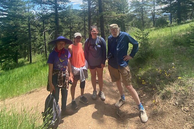 Guided Hiking Tour in Colorado Rocky Mountains View of Mt BlueSky - Price and value: why $85 can make sense
