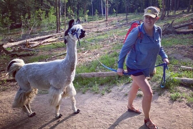 Guided Llama Hike in the Rocky Mountains - The Guides Behind the Day: Kara Olyowski and Brent on Plants, Ranch Lore, and Wildlife