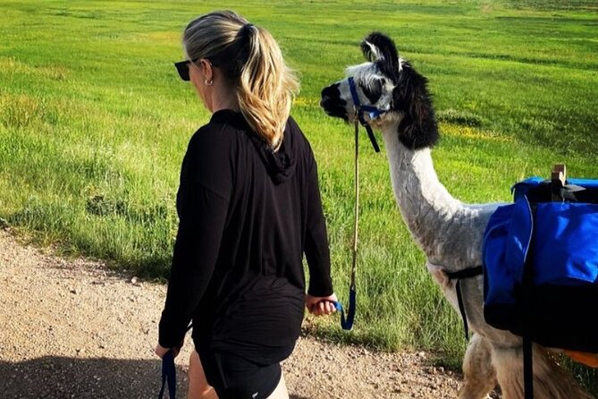 Guided Llama Hike in the Rocky Mountains - Who Should Book This Llama Hike (and Who Might Skip It)