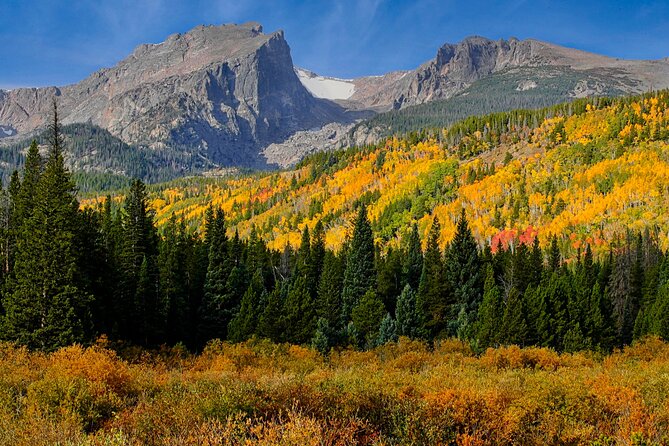 Half-Day Rocky Mountain National Park "Mountains to Sky Tour" - RMNPhotographer - Key highlights you’ll feel right away