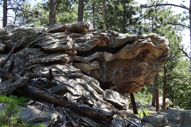 Hike the Rockies Half Day Tour - What’s Included (and What You Need to Bring for Real Comfort)