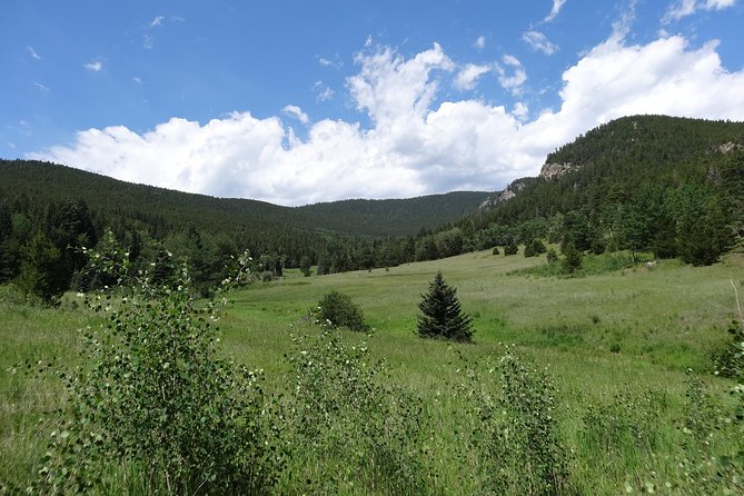 Hike the Rockies Half Day Tour - Timing, Pickup Rhythm, and How a Half Day Really Works
