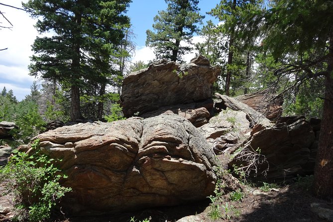 Hike the Rockies Half Day Tour - Price and Value: When $99.99 Makes Sense