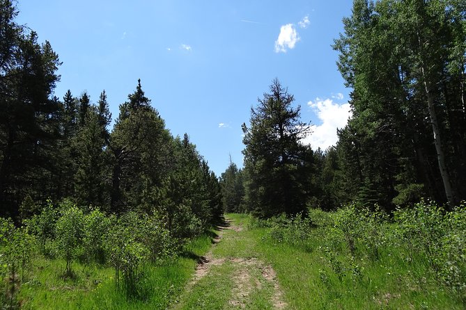 Hike the Rockies Half Day Tour - Should You Book? My Practical Recommendation