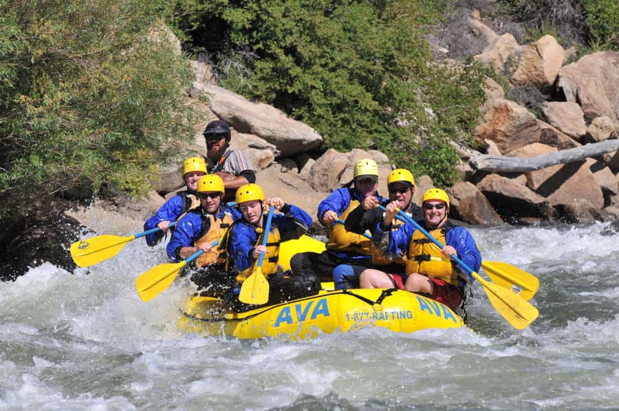 Idaho Springs: Gold Rush Whitewater Rafting Half-Day Trip - The on-water basics: paddling, commands, and staying relaxed