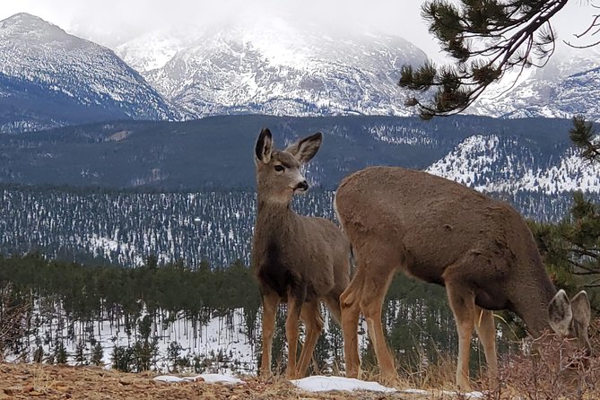 Lower Valley Tour RMNP - Key Points Before You Go