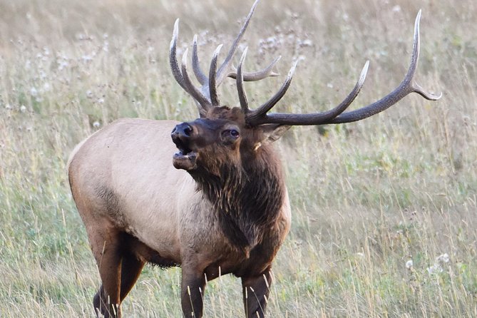 Lower Valley Tour RMNP - Meeting At 500 Big Thompson Ave: Getting Rolling Without Guesswork