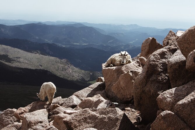 Mount Blue Sky Alpine Summit & Red Rocks Tour from Denver - Idaho Springs Time Permitting: Small-Town Reset