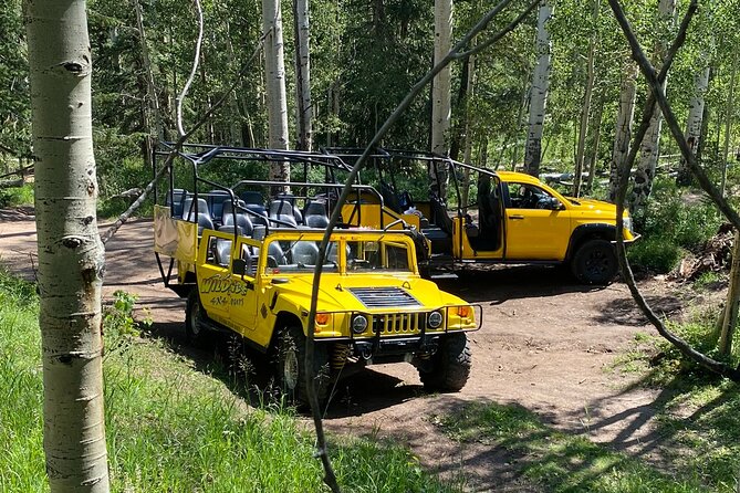 Not So Mellow Marshmallow Tour (Wildside 4x4 Tours) - Panorama Peak Private Tower: The Big View Payoff