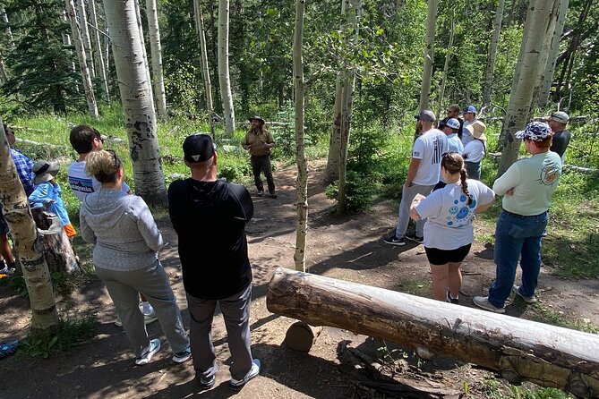 Not So Mellow Marshmallow Tour (Wildside 4x4 Tours) - Who Should Book This Tour (and Who Might Want to Think Twice)?