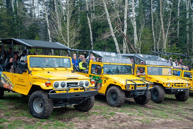 Panoramic Peak Tour (Wildside 4x4 Tours) - 4x4 off-road photo tour energy in Estes Park