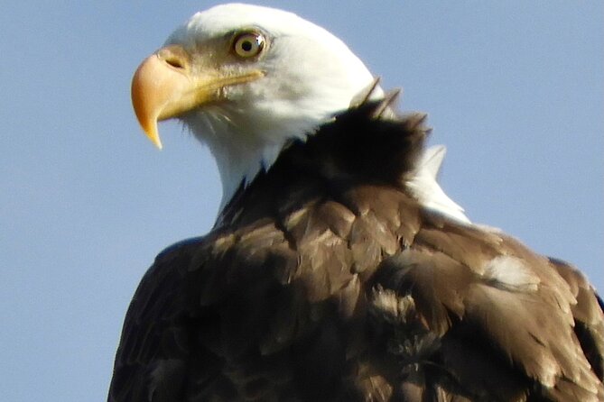 Private Birding Hike in Rocky Mountain National Park - Why this private Rocky Mountain birding hike feels different