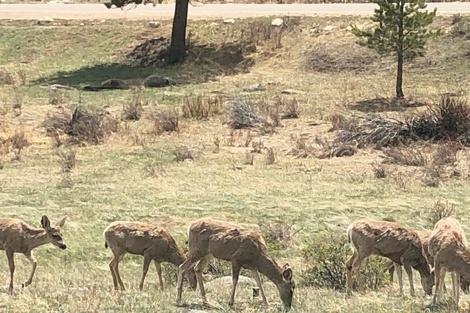 Private Day Tour From Denver to Estes Park and Rocky Mountain National Park - Boulder Falls and Pearl Street Mall: a quick win on the return drive