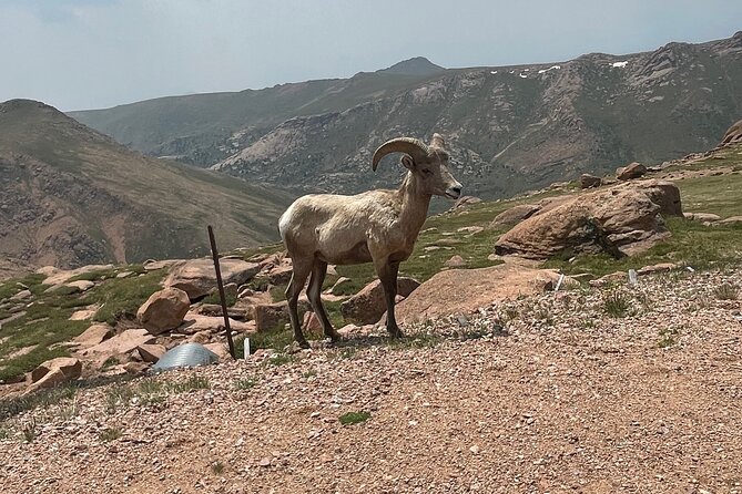 Private Full DayJeep Tour Garden of Gods Pike's Peak from Denver - Price and value: where $300 per person really lands