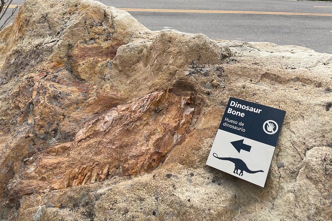 Private Jeep Tour to Red Rocks, Dinosaur Ridge, Lookout Mountain - Timing and What You’ll Do During the 4.5 Hours