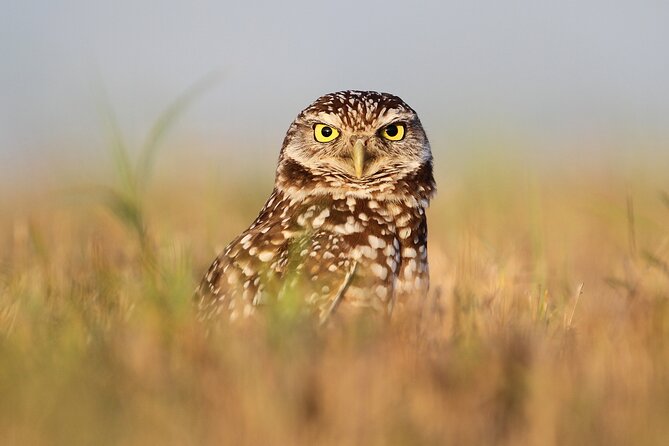 Private Nature Tour for Couples - Price and value: what $350 per group actually covers