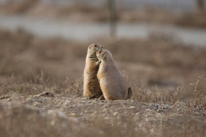 Private Nature Tour for Couples - Weather and comfort: making the outdoors work for you