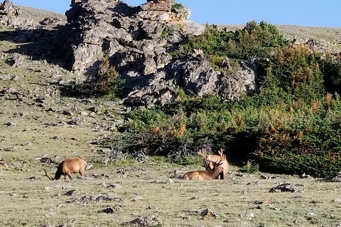 Private Three Hour Afternoon Custom Tour of Rocky Mountain National Park - Key things to know before you go