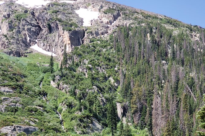 Private Three Hour Afternoon Custom Tour of Rocky Mountain National Park - A 3-hour RMNP afternoon that actually feels manageable