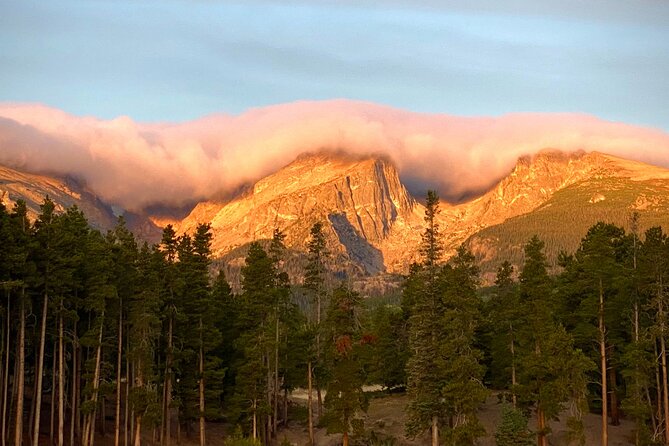 Private Wildlife Driving Tour in Rocky Mountain National Park - Wildlife spotting: what to expect and how to boost your odds
