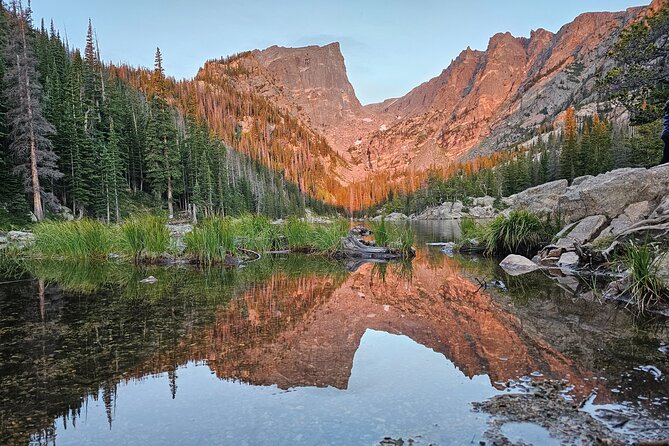 Private Wildlife Hiking Tour in Rocky Mountain National Park - Meeting at Beaver Meadows: fast start, less wandering