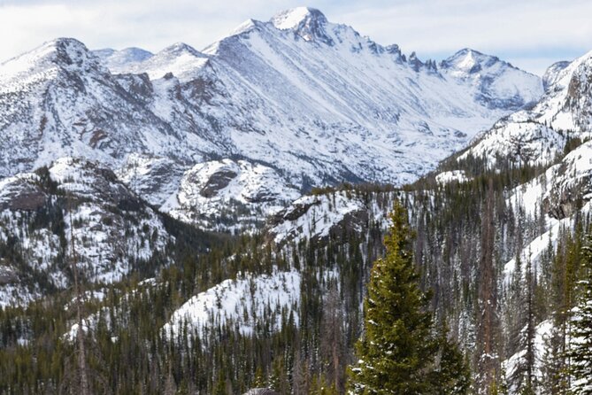 Private Wildlife Hiking Tour in Rocky Mountain National Park - Price and value: $175 per person for guided time in RMNP