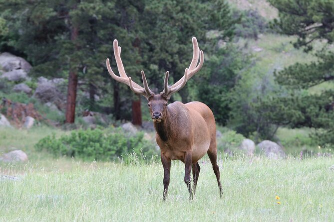 RMNP: Bear Lake Corridor Tour - Entering Rocky Mountain National Park Without the Planning Chaos