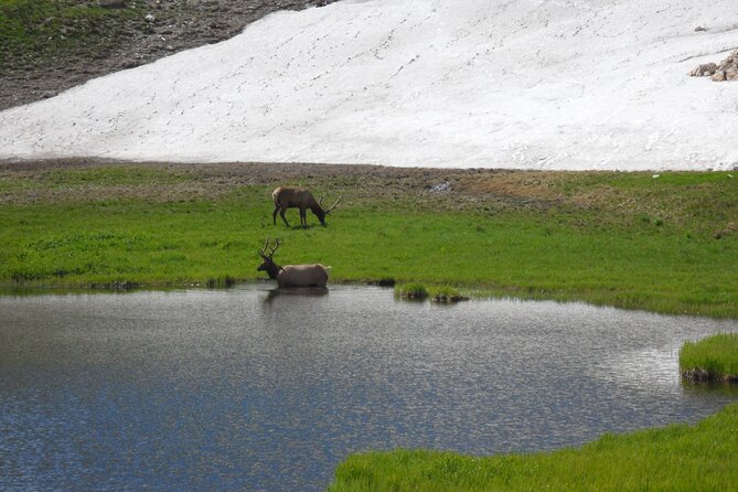 RMNP: Bear Lake Corridor Tour - Estes Park Start Point and How the Timing Fits a Short Day