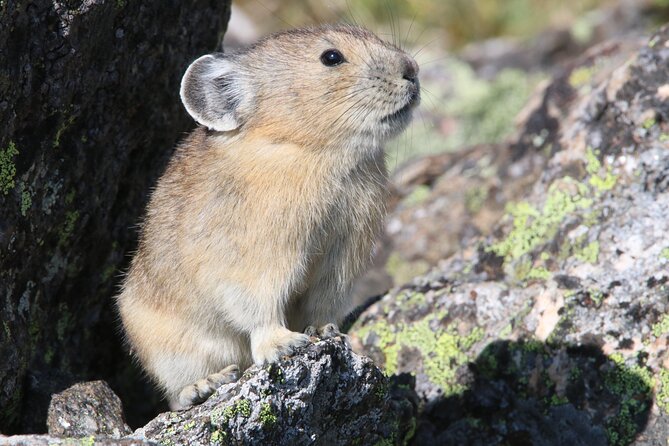 RMNP: Bear Lake Corridor Tour - Bear Lake: A Short Stop With Big Trail Options