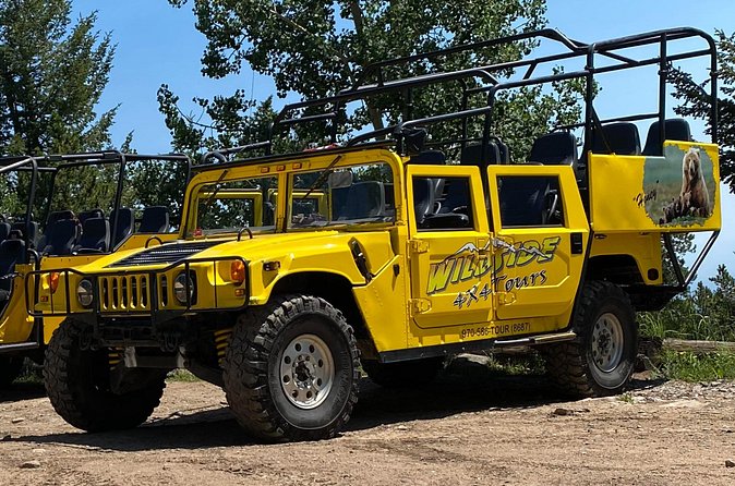 Rock'n Roller Coaster Tour (Wildside 4x4 Tours) - What to pack (based on real guidance from the field)