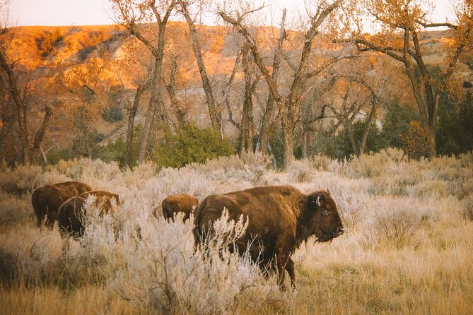 Rocky Mountain Escape - Why this half-day Rocky Mountain Escape fits Denver perfectly